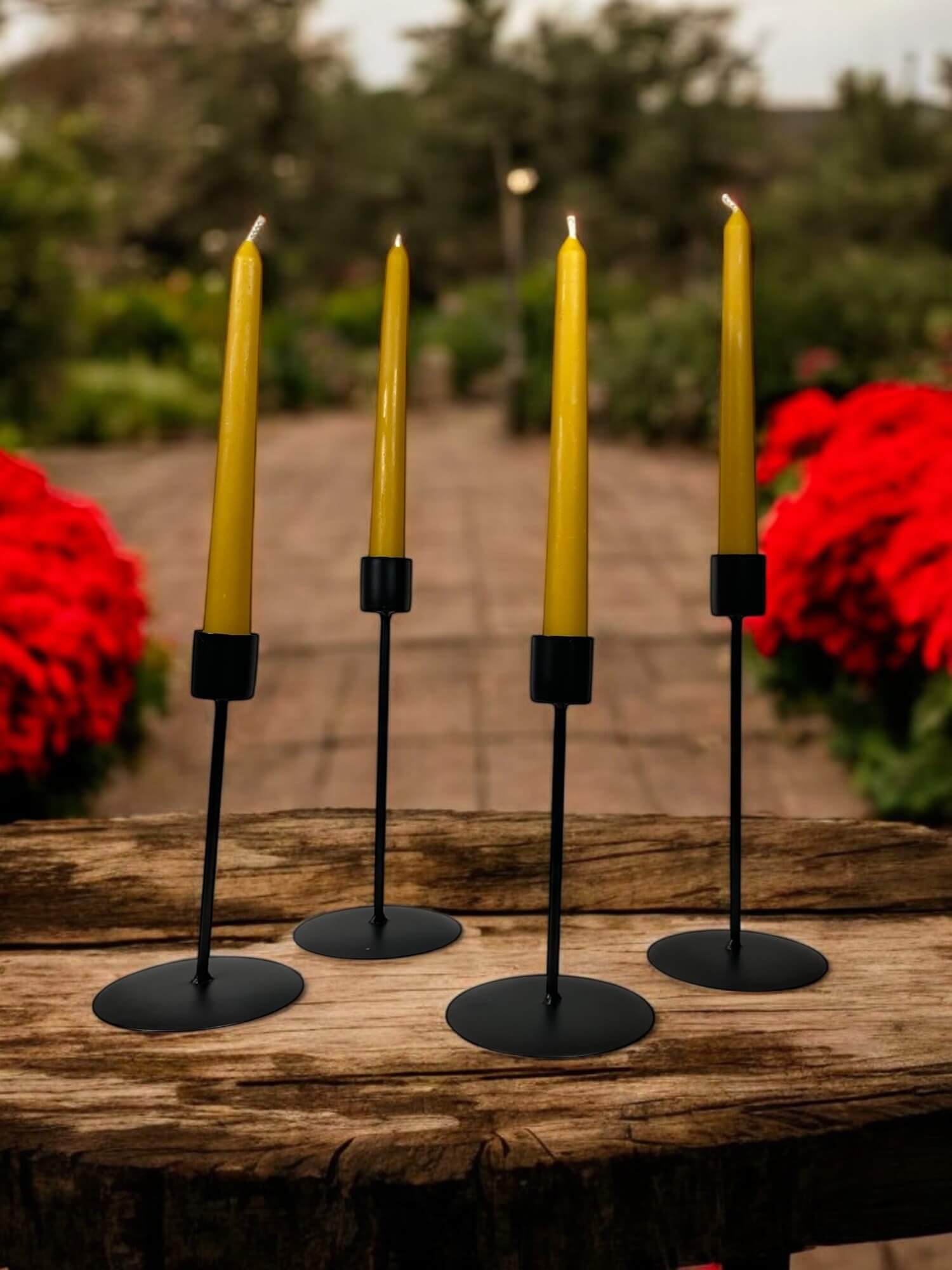 Taper Beeswax Dinner Candles (Set of 4) - Davies a'i Gwmni Cyf